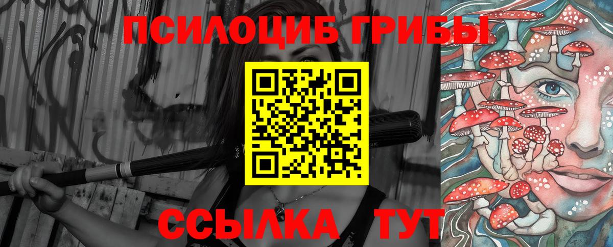 Псилоцибиновые грибы MAGIC MUSHROOMS  Вход с VPN  Азнакаево  Псилоцибиновые грибы мухоморы 